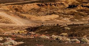 准度目前来看很高：施奈德林季初英超预测被挖出